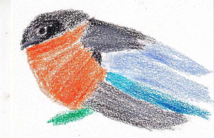 Vogel mit orangeroter Brust