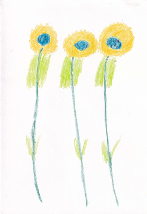 Drei Sonnenblumen