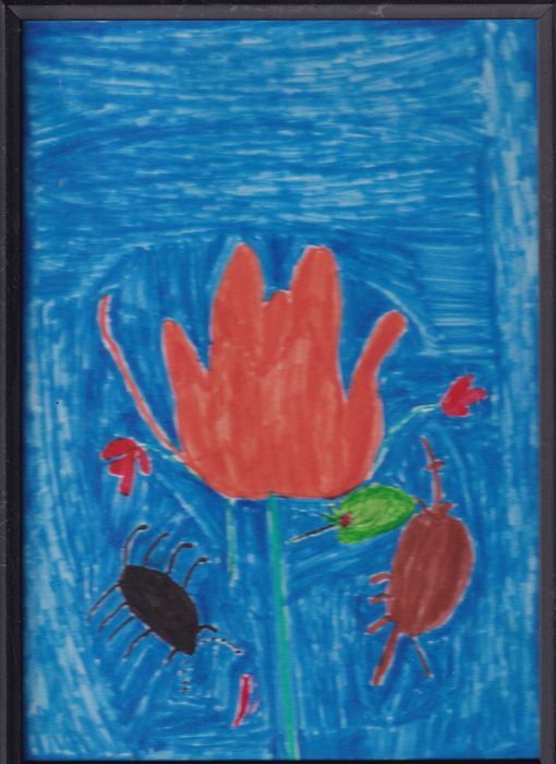 Rote Tulpe auf Dunkelblau