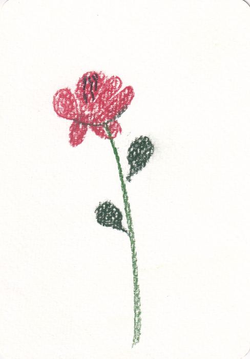 Rose, Pastell