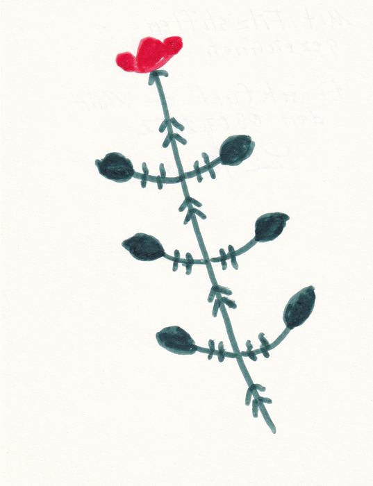 Rosenzweig